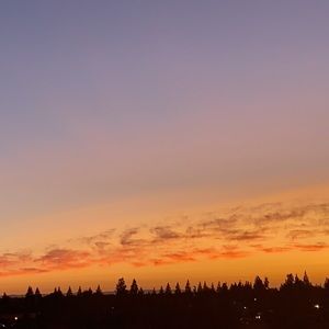 Meet your Posher, Mackenzie